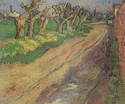 Vincent Van Gogh Pollard Willows (nn04) USA oil painting artist